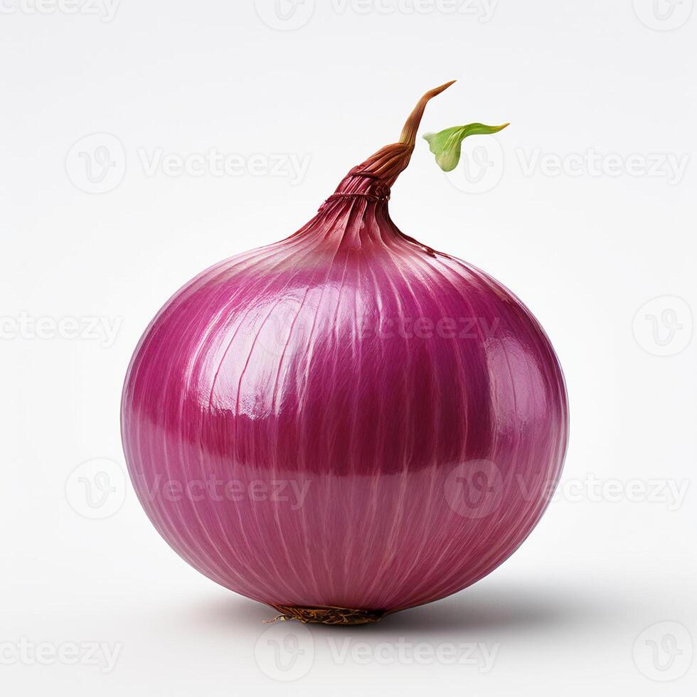 Onion Image 2