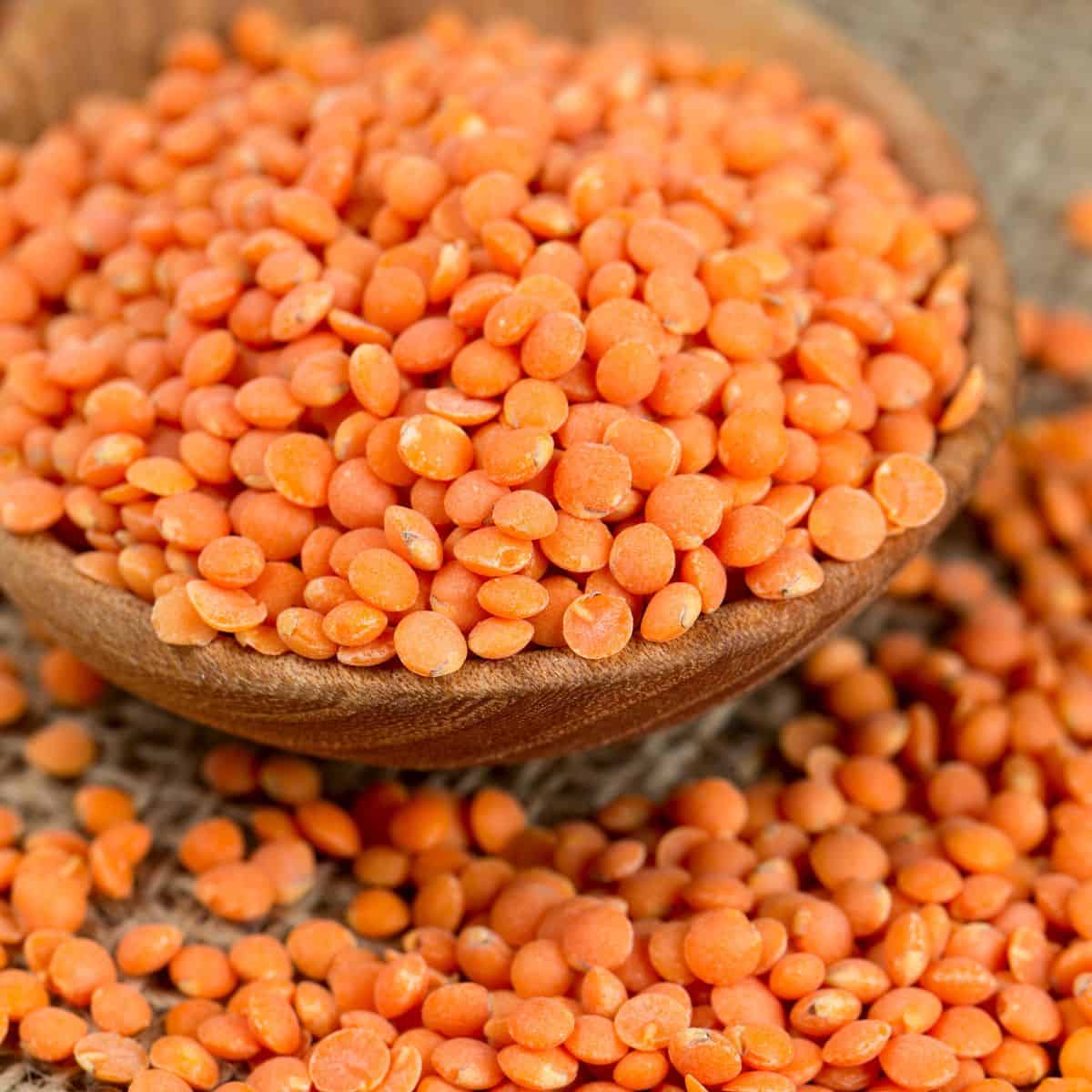 Red Lentil